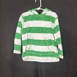 Mini Boden Green and White Hoodie